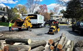 Best Hazardous Tree Removal  in Stearns, KY