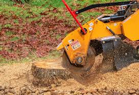 Best Tree Trimming and Pruning  in Stearns, KY