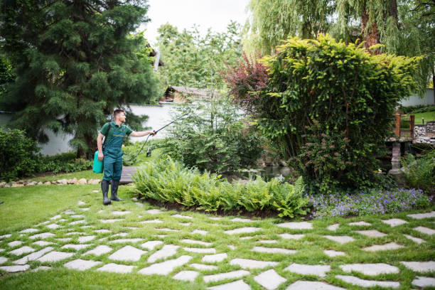 Best Lawn Disease Treatment  in Stearns, KY